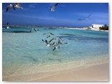 _S0C6293_filteredFULL