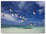 _S0C6380_filteredFULL