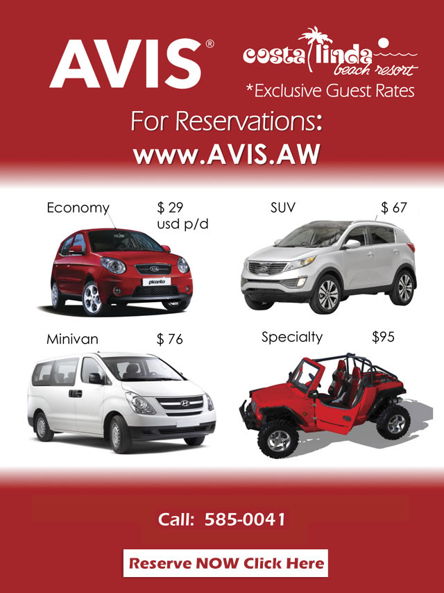 avis rental car